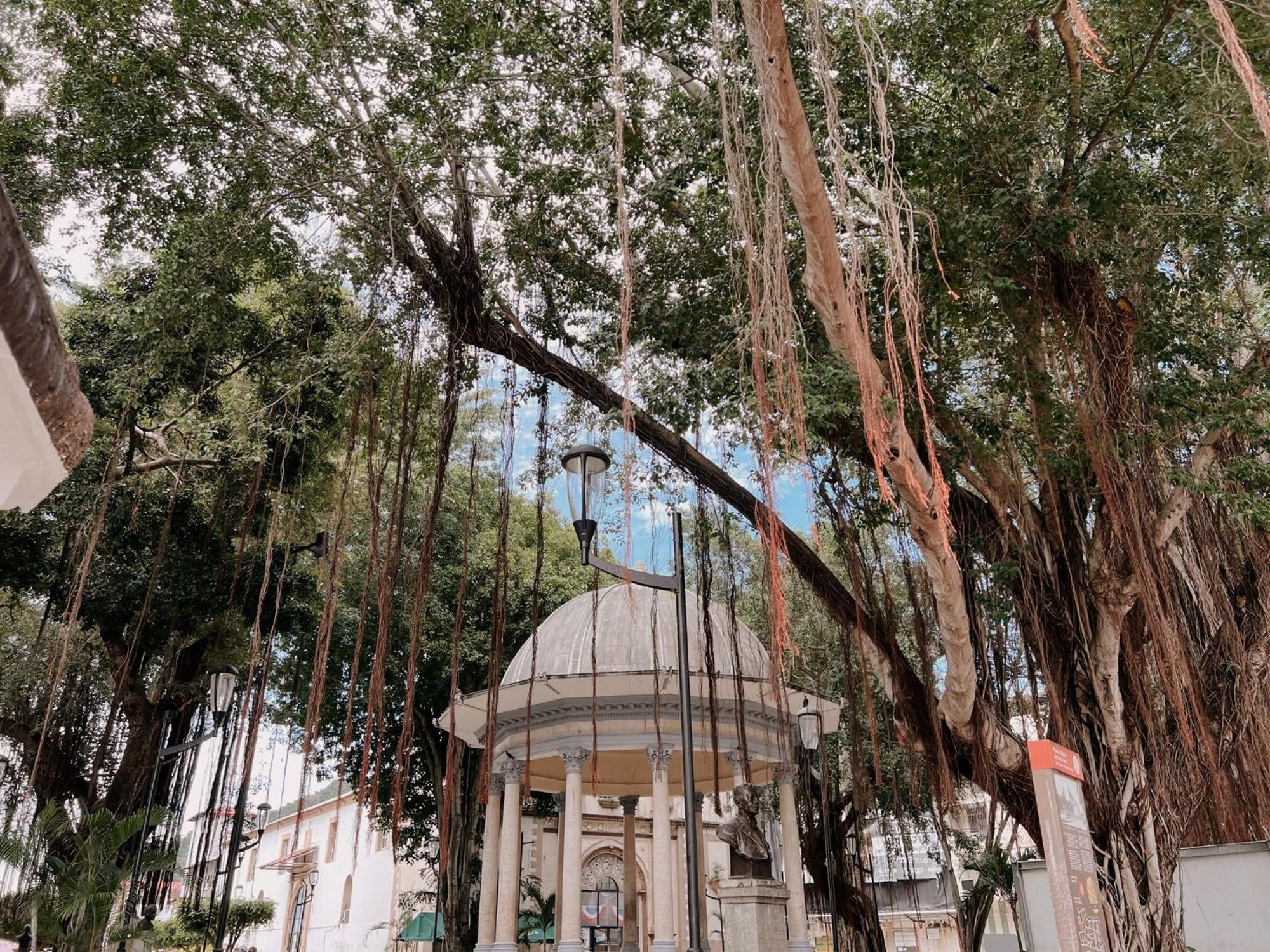 Maison Boheme - La Manzana Panama Εξωτερικό φωτογραφία